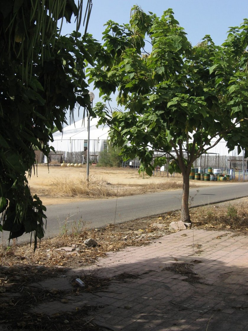 upic259977