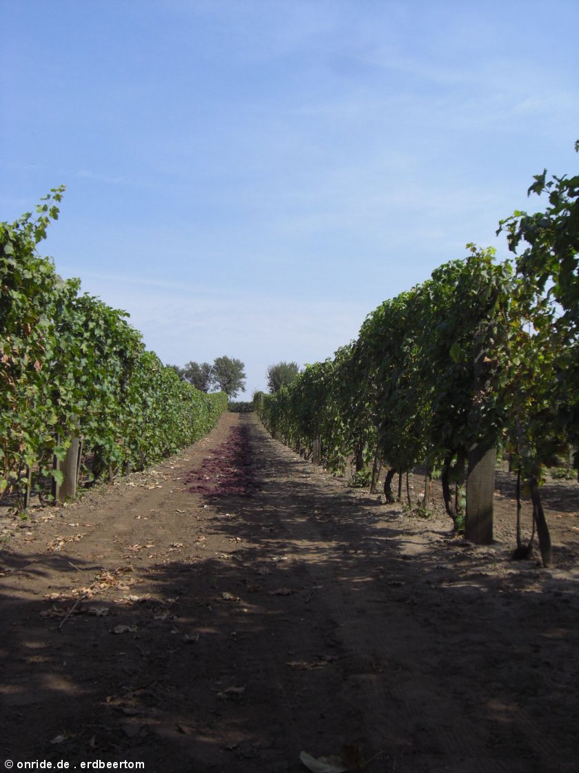 upic329491