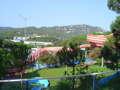 upic33249
