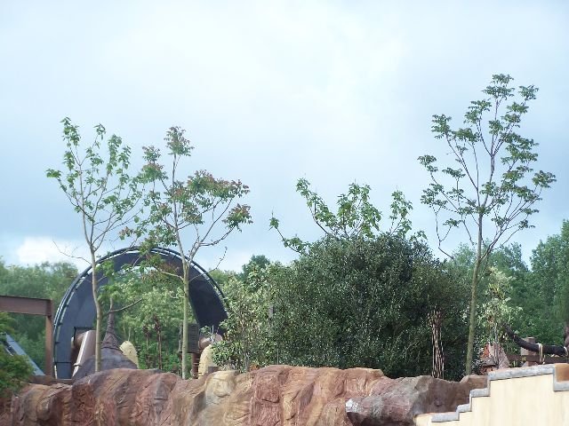upic80004